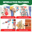 Smartivity Interactive Human Body STEM Kit