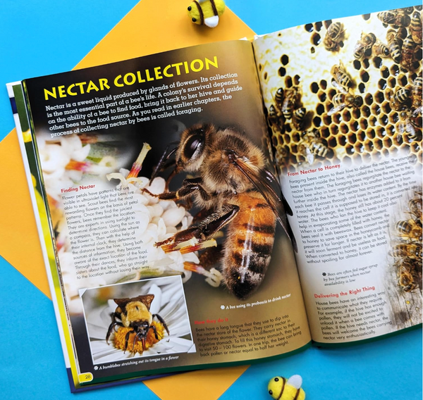 Wonders of Learning – Discover Bees Educational Box Set