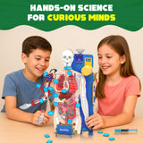 Smartivity Interactive Human Body STEM Kit