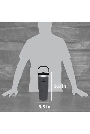 Stanley IceFlow Flip Straw Tumbler 30oz