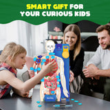 Smartivity Interactive Human Body DIY STEM Activity Kit – Build & Discover How the Body Works