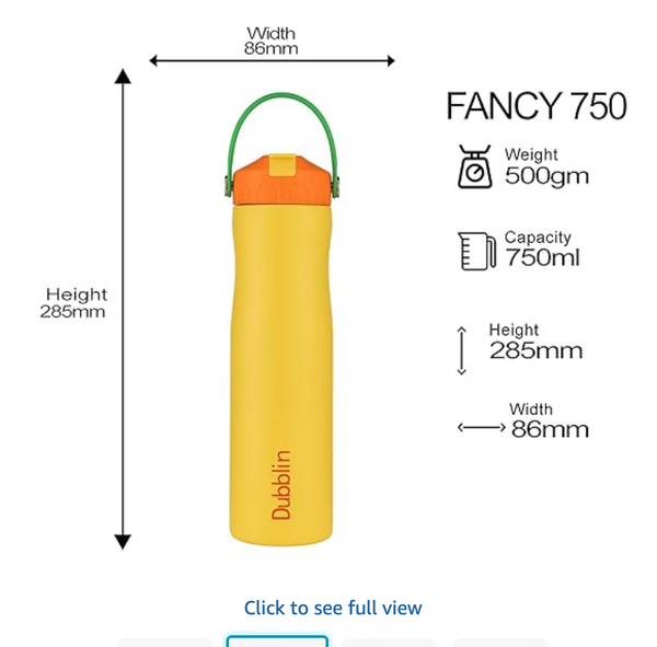 Dubblin Fancy 750 Stainless Steel Insulated Water Bottle