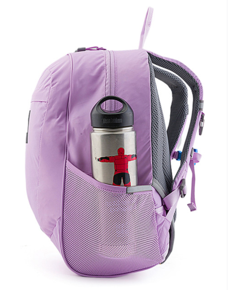 The North Face Lavender School Backpack