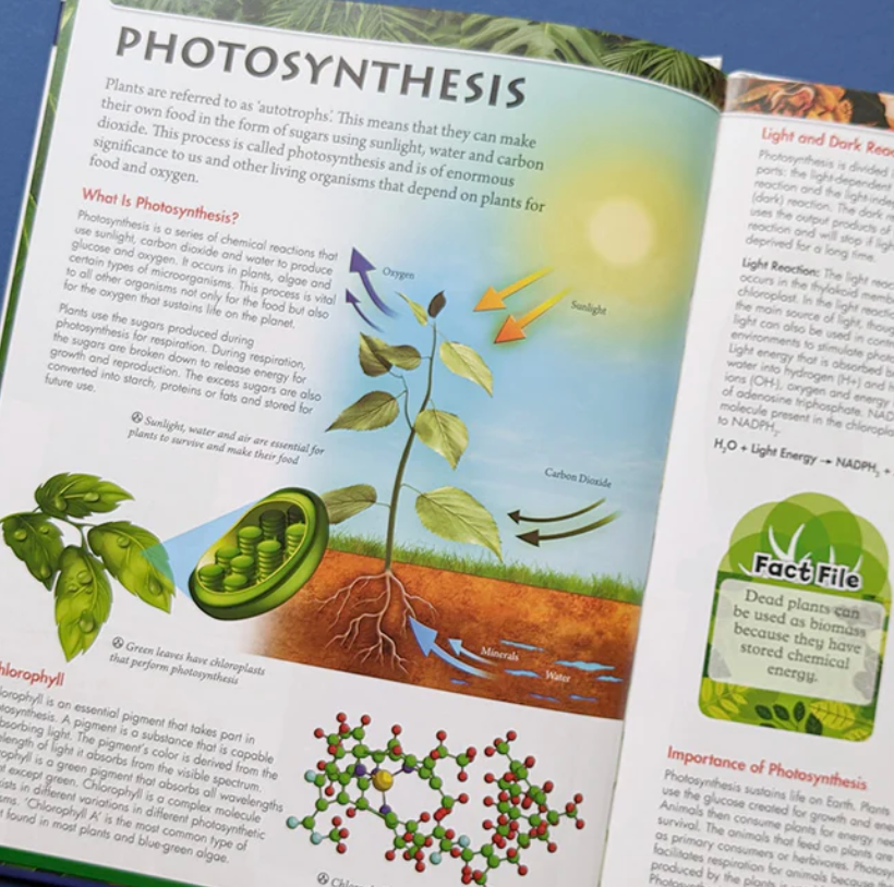 Wonders of Learning Discover Botany Educational Box Set