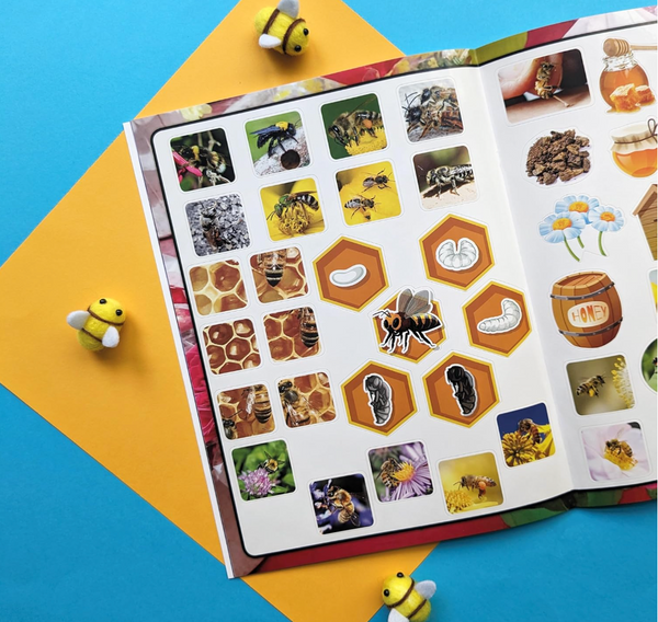 Wonders of Learning – Discover Bees Educational Box Set