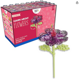 Thinker Place Learn About Flowers – Build Your Own Sunflower