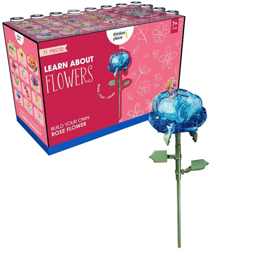 Thinker Place Learn About Flowers – Build Your Own Sunflower