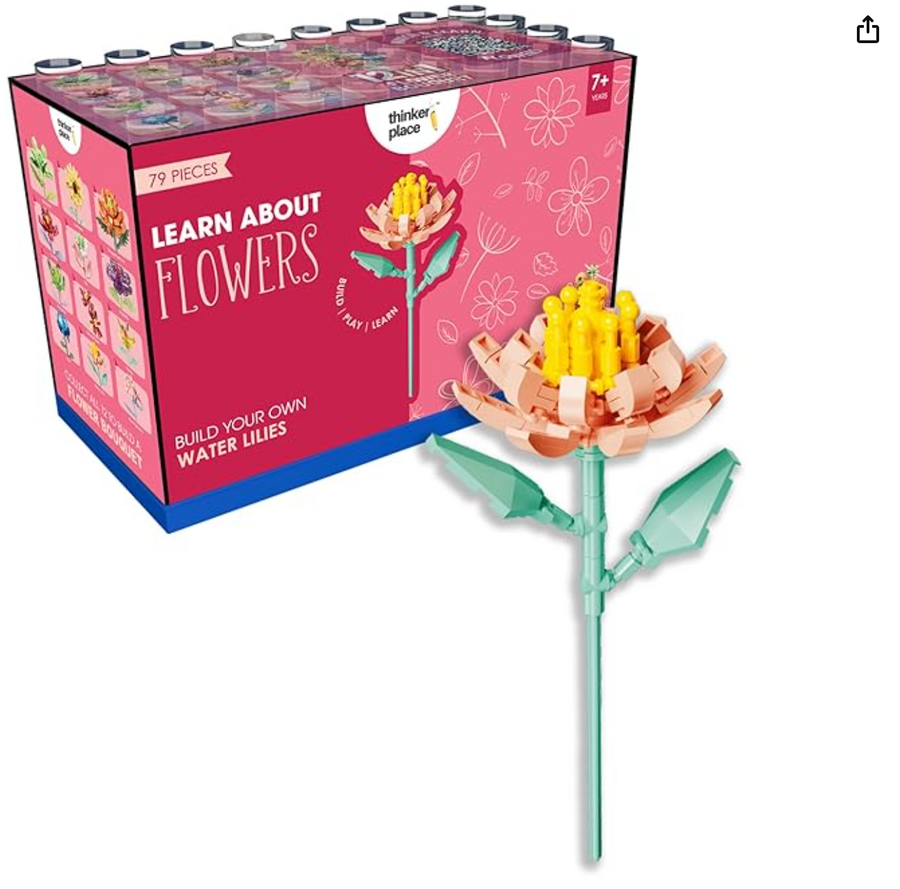 Thinker Place Learn About Flowers – Build Your Own Sunflower