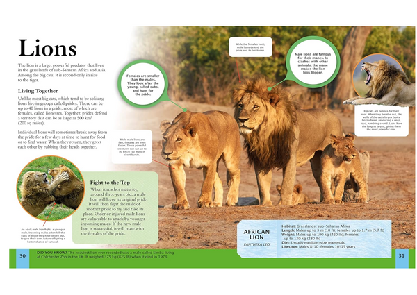 Children's Encyclopedia of Predators