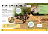 Children's Encyclopedia of Predators